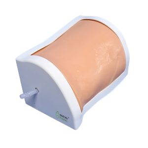 Preclinic Training Model of Percutaneous Nephrolithotomy (Ultrasound Puncture) – Medical Training & Simulation | Sysmark Bangladesh