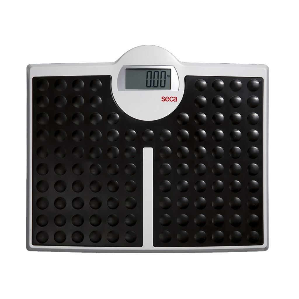 Seca Flat Scale (Seca 813) – Medical Height & Weighing Measuring Product | Sysmark Bangladesh