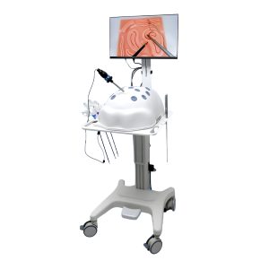 Preclinic Laparoscopic Surgery Skill Training – Medical Training & Simulation | Sysmark Bangladesh