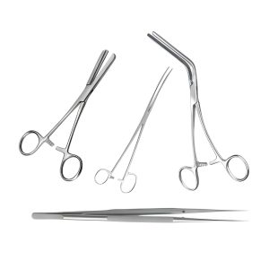 Hilbro Instruments Thumb and Tissue Forceps, Hemostatic & Atraumatic Forceps, Polypus and Dressing Forceps – Hospital Surgical Instruments | Sysmark Bangladesh