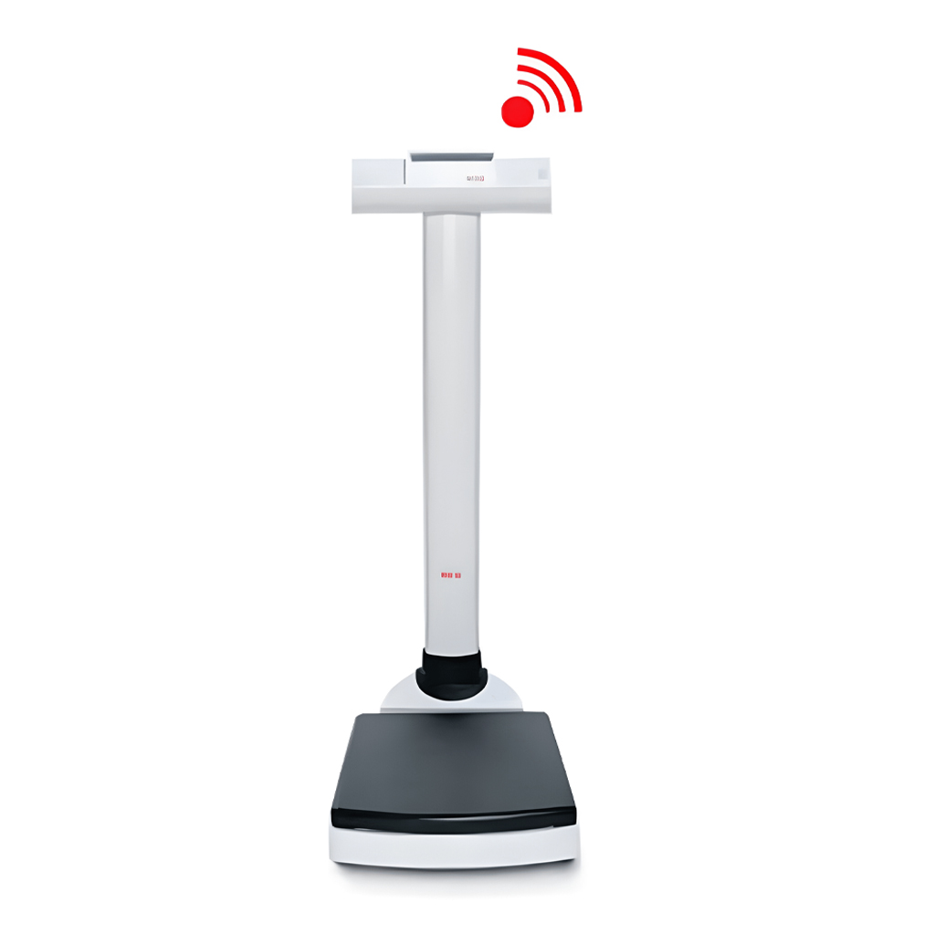 Seca Column Scale (Seca 703) – Medical Height & Weighing Measuring Product | Sysmark Bangladesh